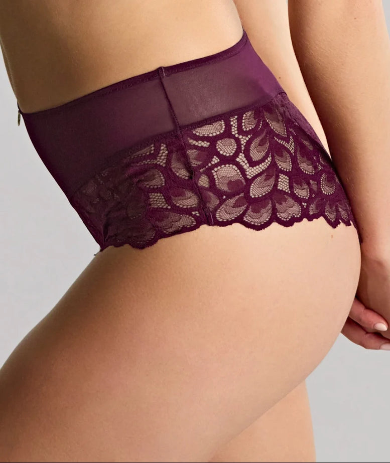 Panache Lace Allure Brief
