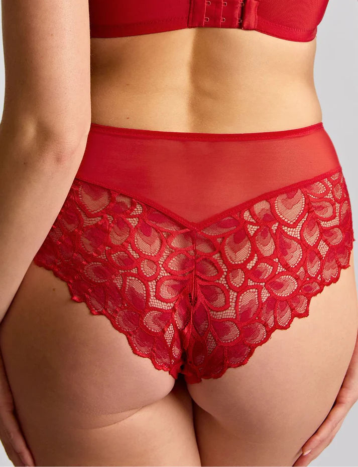 Panache Allure Brief