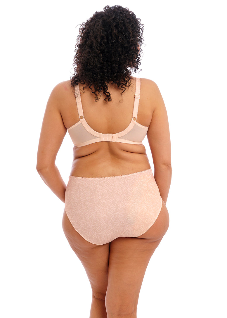 Elomi EL4116 Morgan Brief