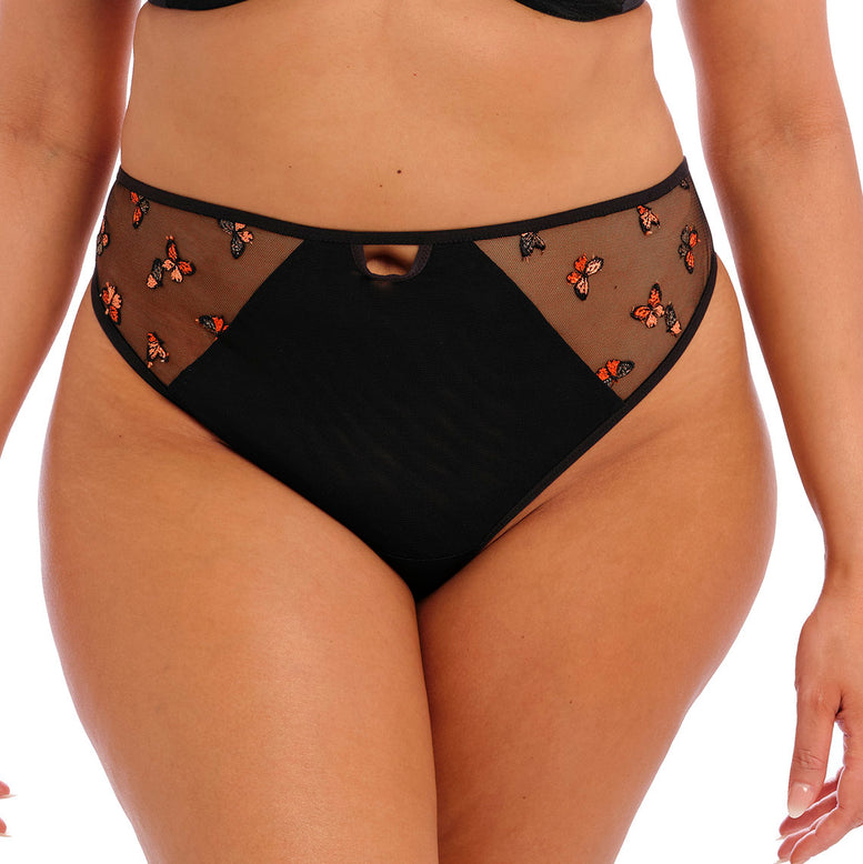 Elomi Sachi Full Brief