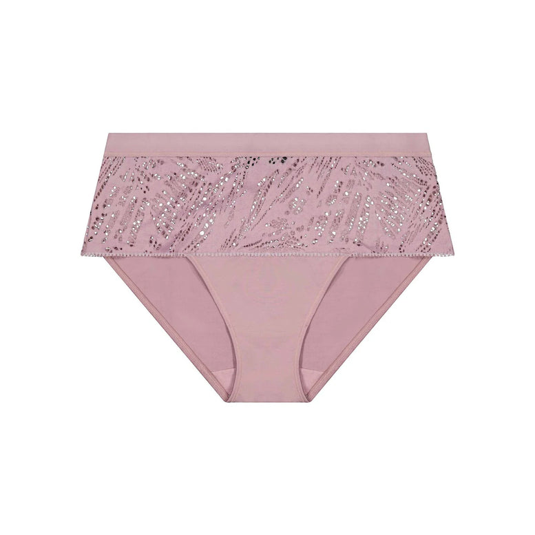 Fayreform Brief The Minimalist