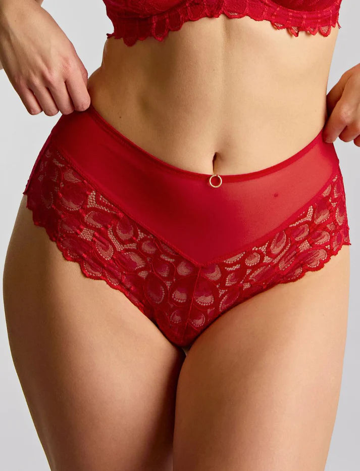 Panache Allure Brief