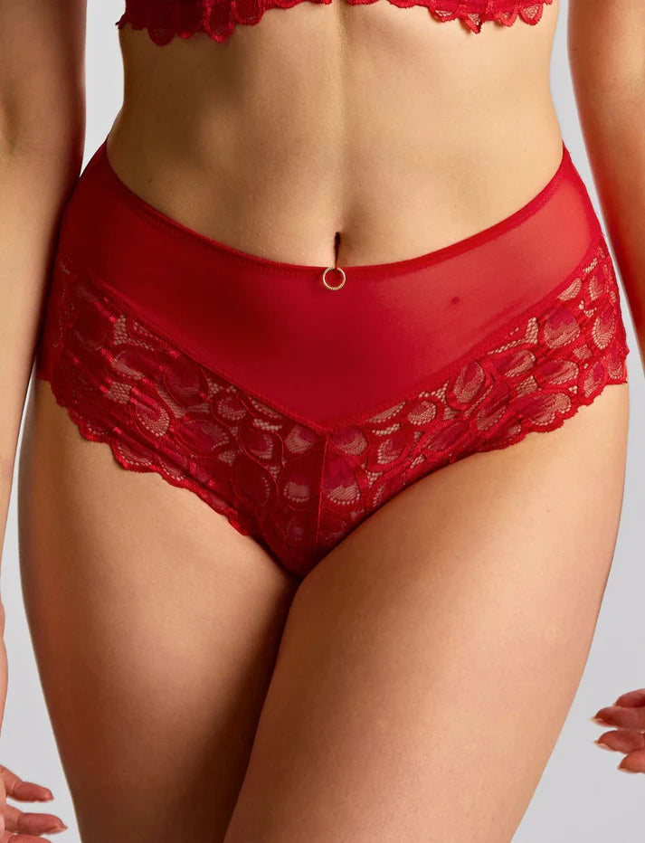 Panache Allure Brief