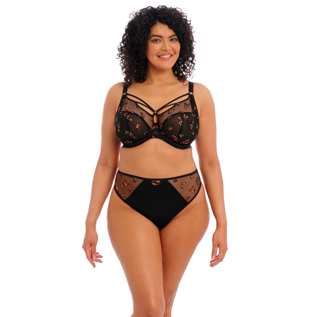 Plus Size Sexy Lace Underwire Plunge Butterfly Bra & Panty
